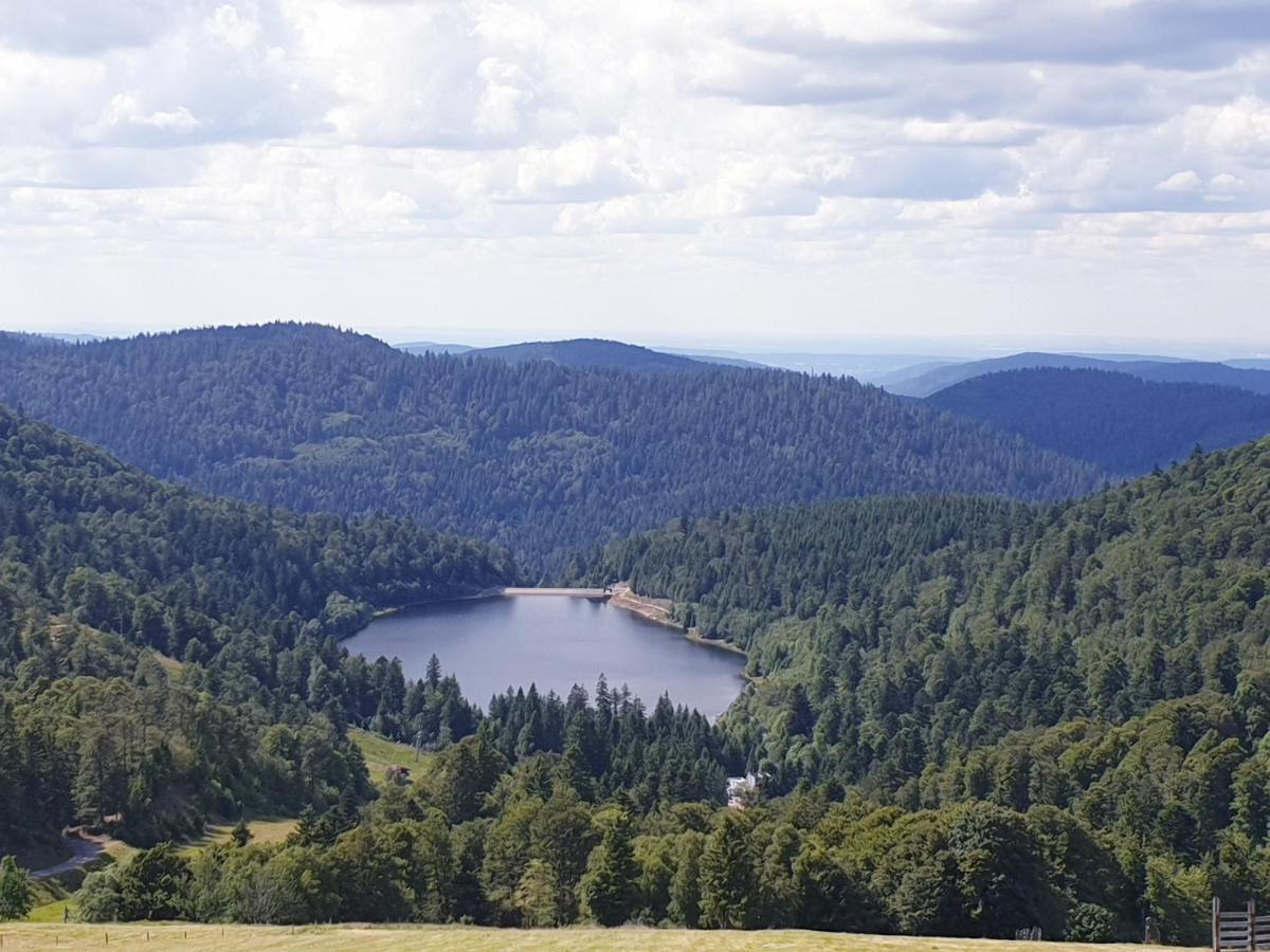 Ferienhaus Maison Chaleureuse La Meybel La Bresse